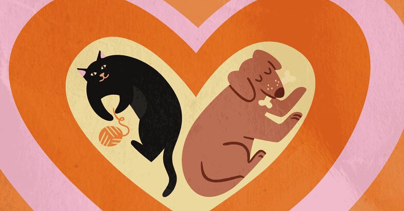 Emotional Support Animals image